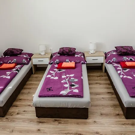 בית הארחה Grey House Topolniky